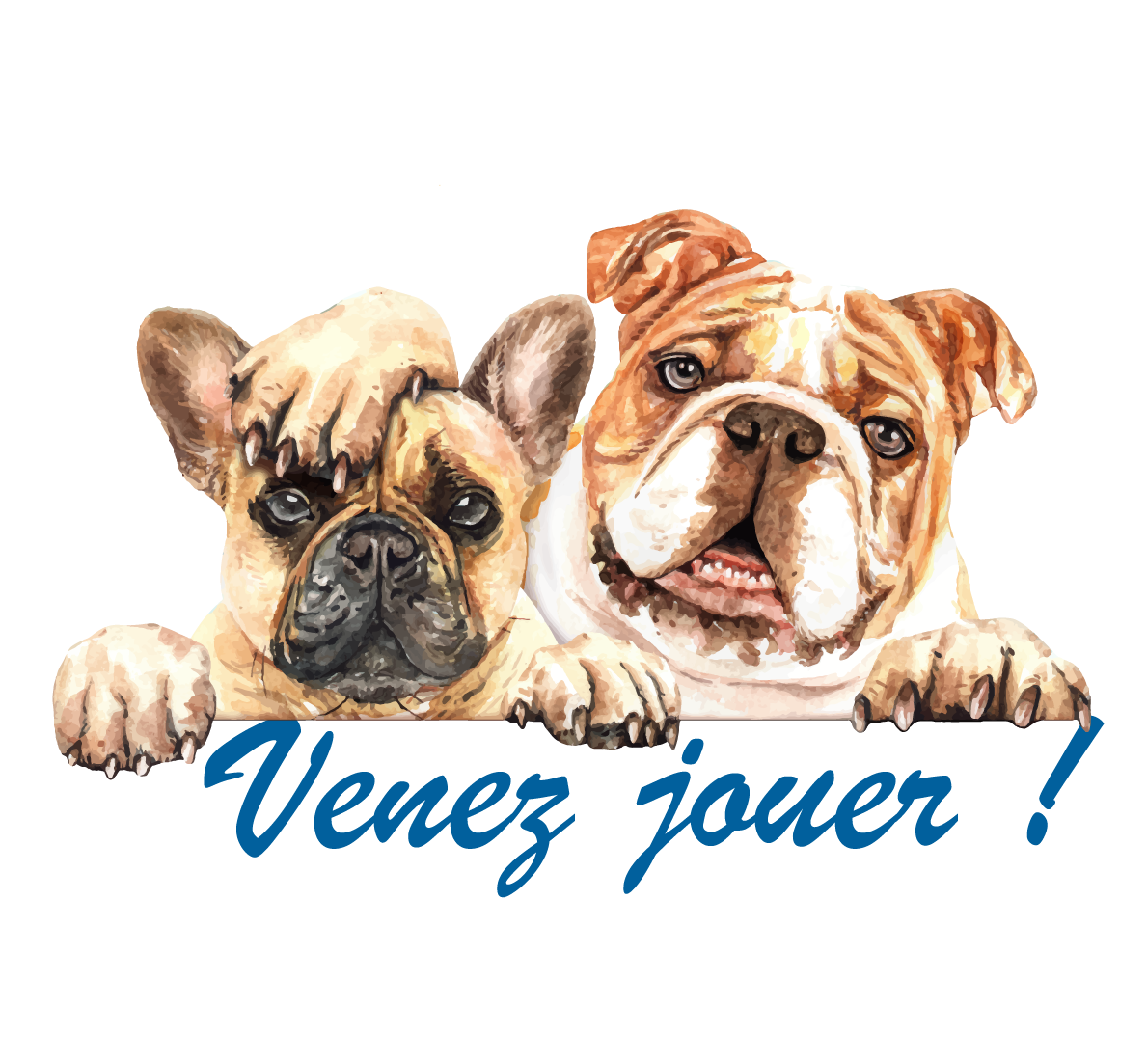 Dog Daycare Centre Canin Des Ruisseaux dog-daycare-centre-canin-des-ruisseaux